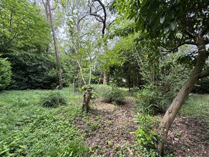 WOODLAND- click for photo gallery